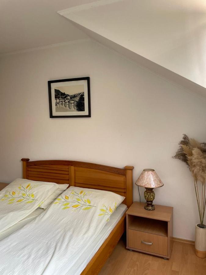 Apartments Vila Hercegovina Βίσεγκραντ Εξωτερικό φωτογραφία